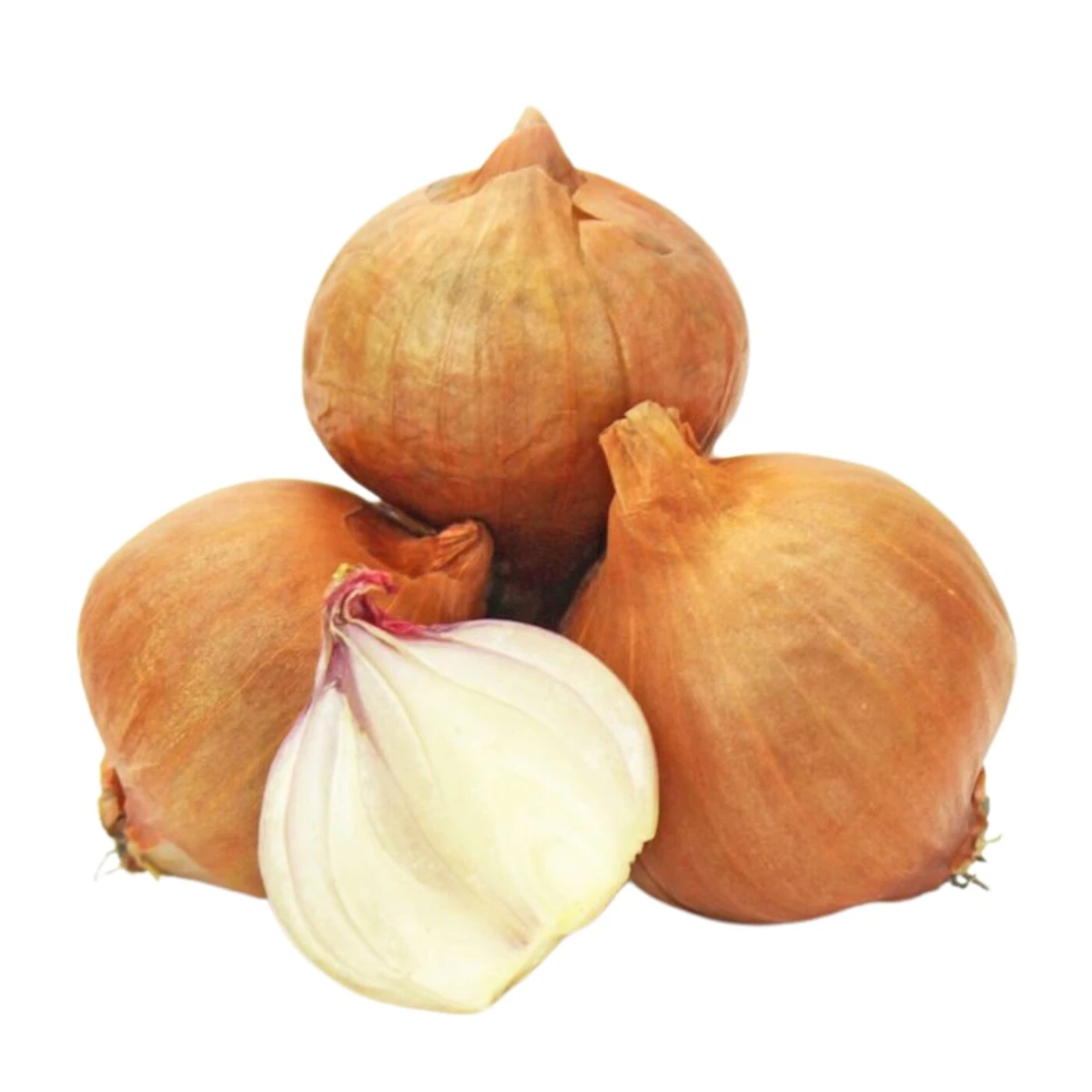 Cebula szalotka świeża Bio, Bio Planet