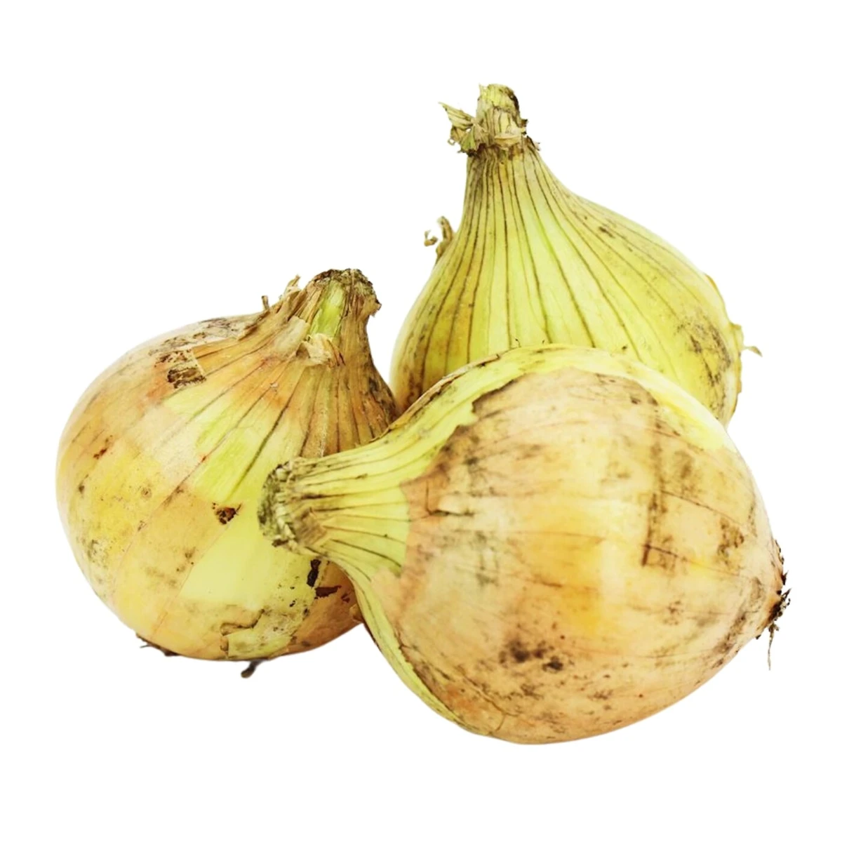 Cebula żółta świeża Bio, Bio Planet