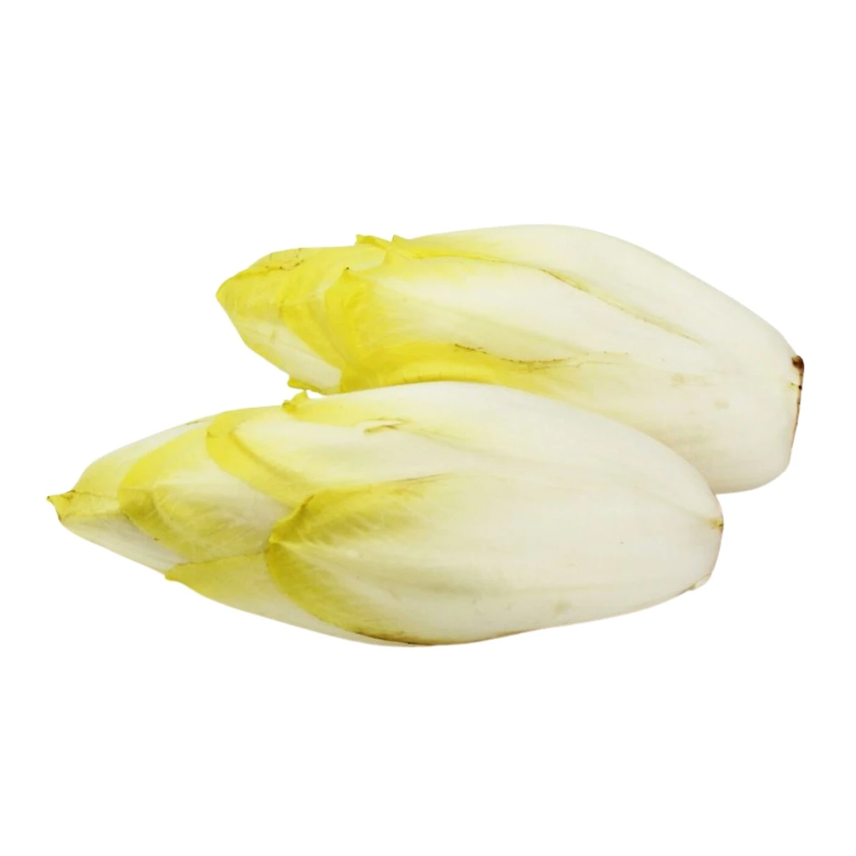 Cykoria świeża Bio, Bio Planet