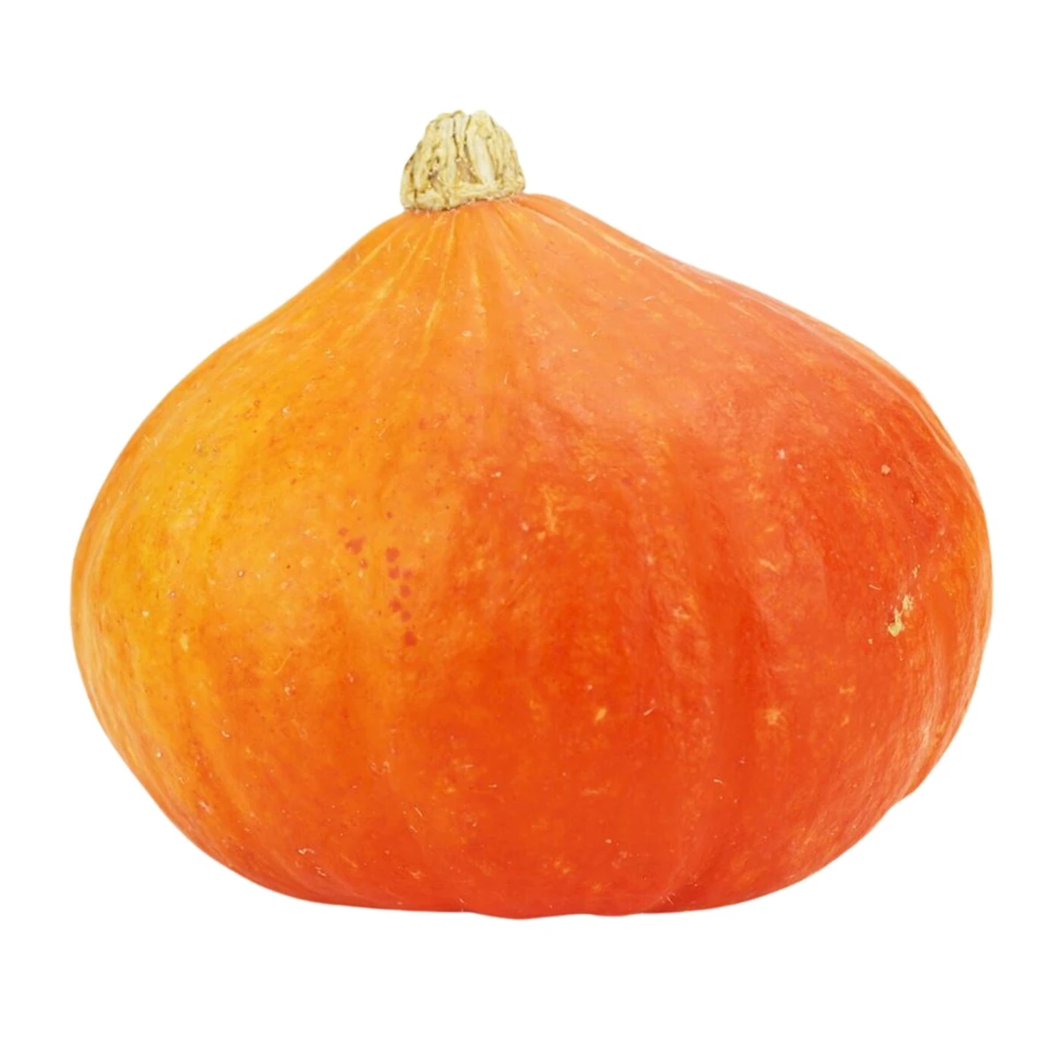 Dynia Hokkaido świeża Bio, Bio Planet       