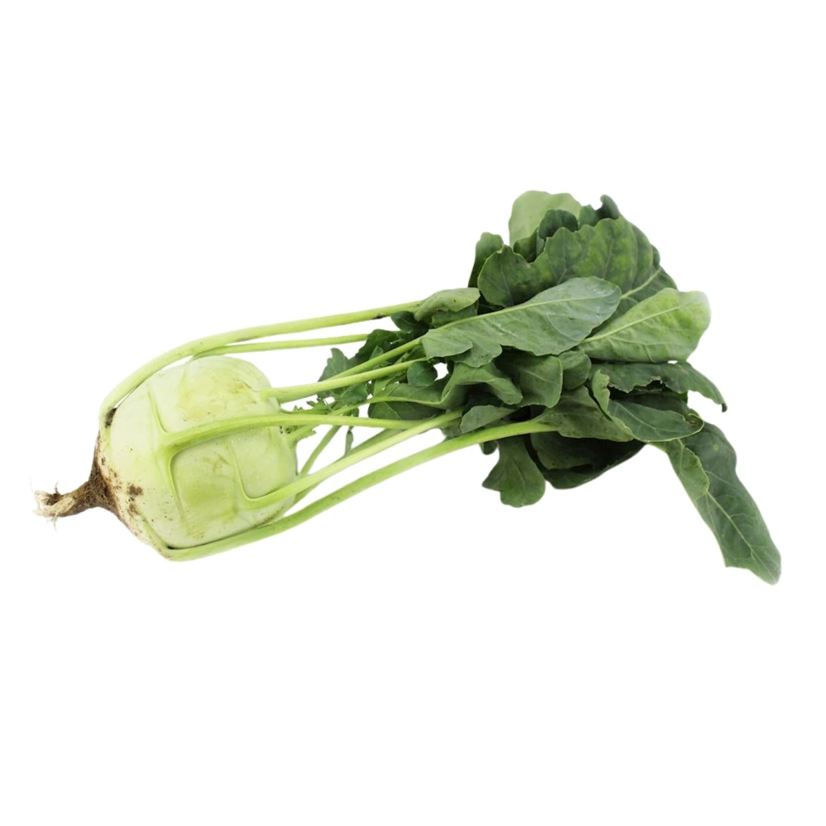 Kalarepa świeża Bio, Bio Planet