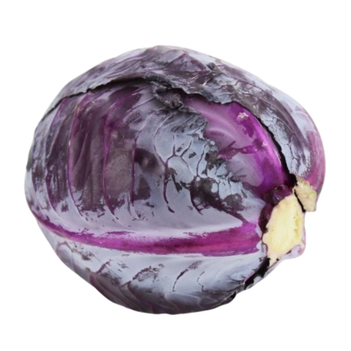 Kapusta czerwona świeża Bio, Bio Planet