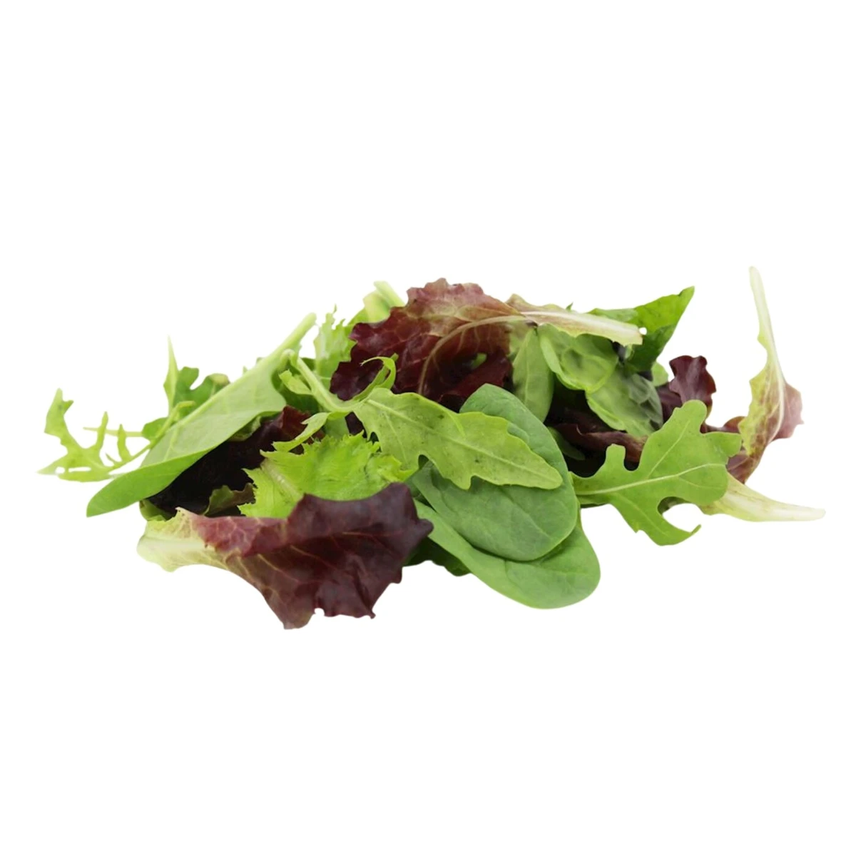 Mix sałat świeży niemyty Bio, Bio Planet