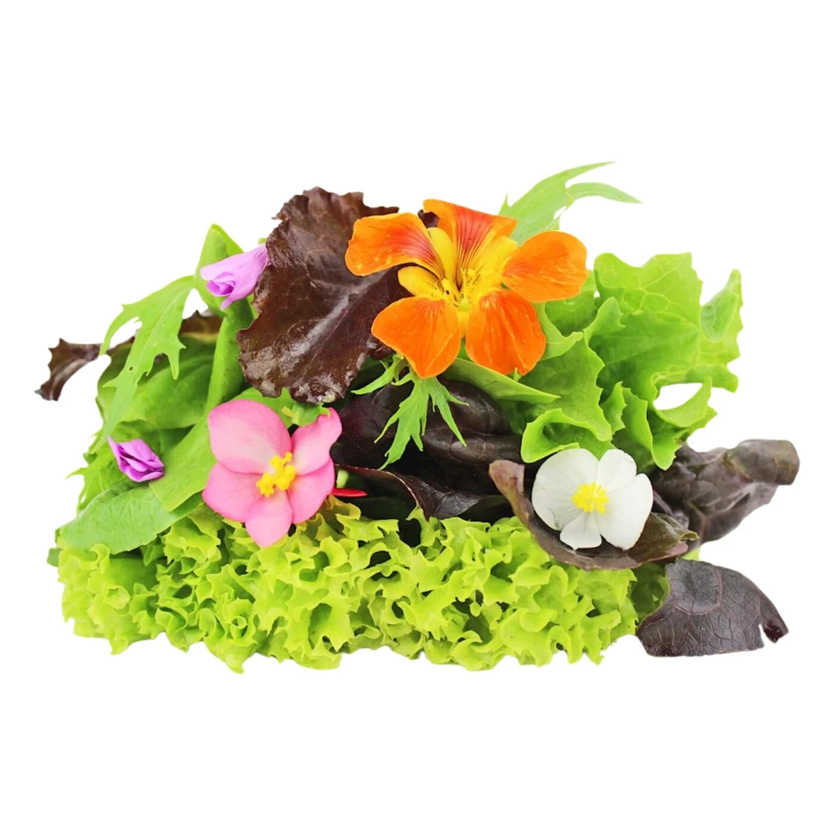 Mix sałat świeży niemyty Bio, z Polski, Bio Planet