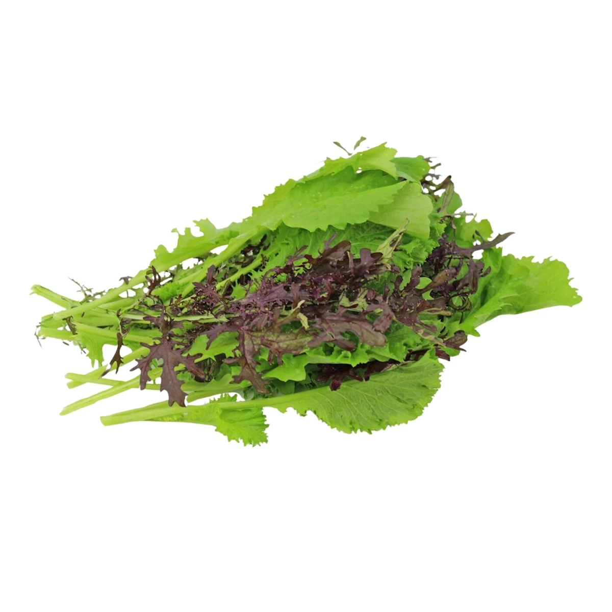 Musztardowiec świeży Bio, Bio Planet