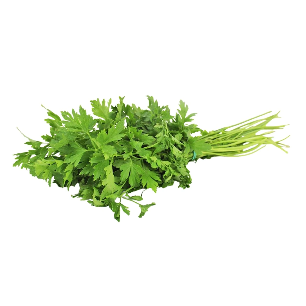 Natka pietruszki świeża Bio, Bio Planet