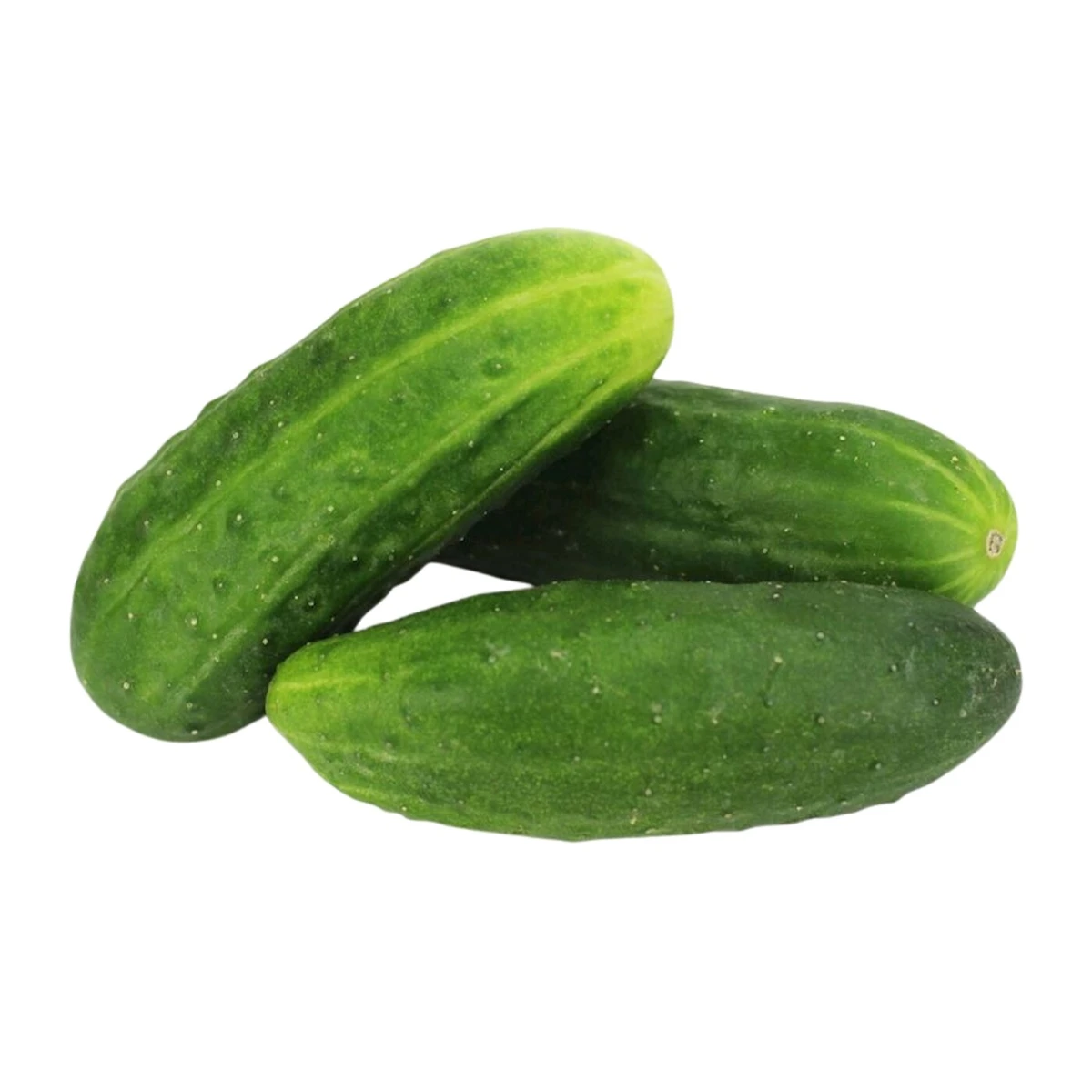 Ogórek gruntowy świeży Bio, Bio Planet