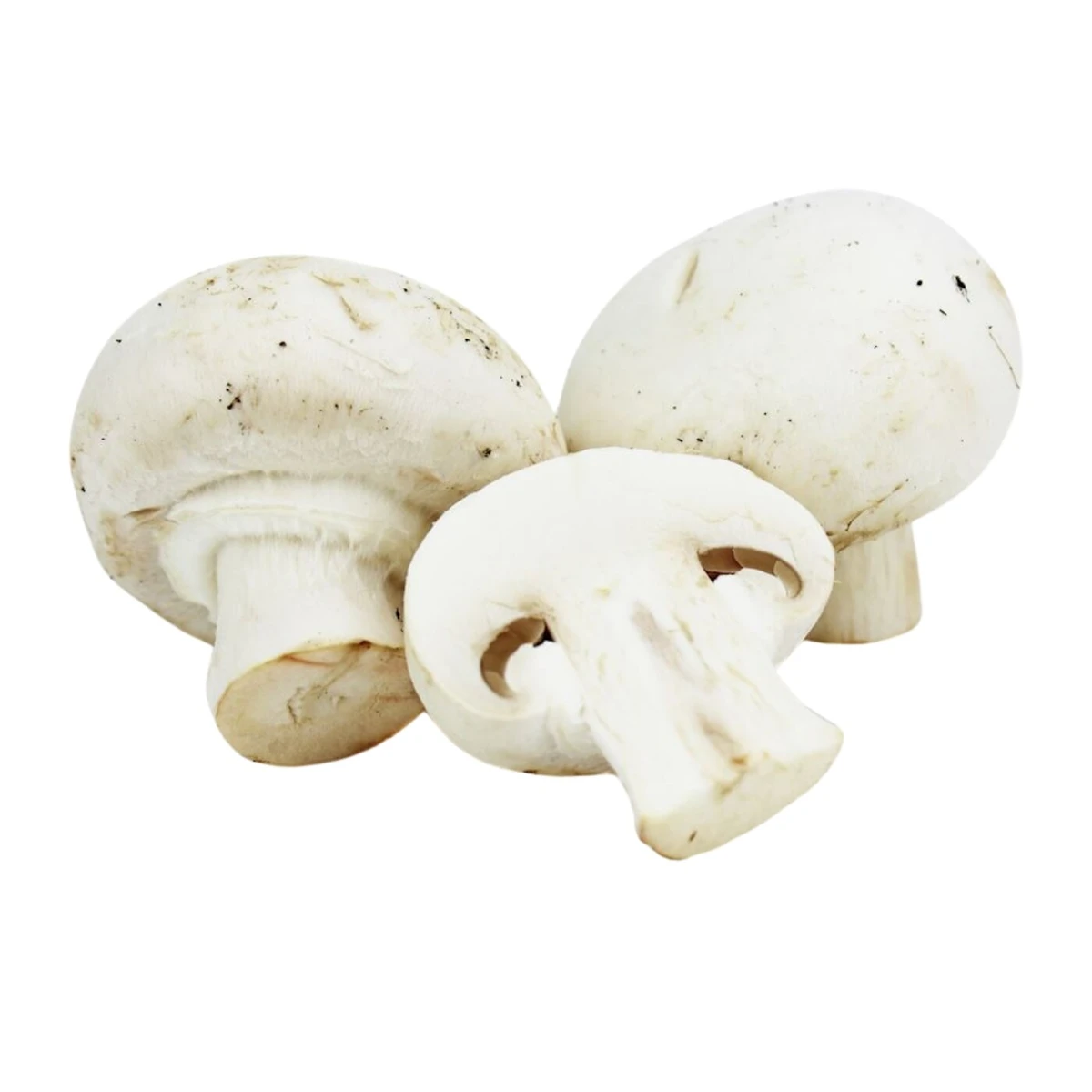 Pieczarki białe świeże Bio, Bio Planet