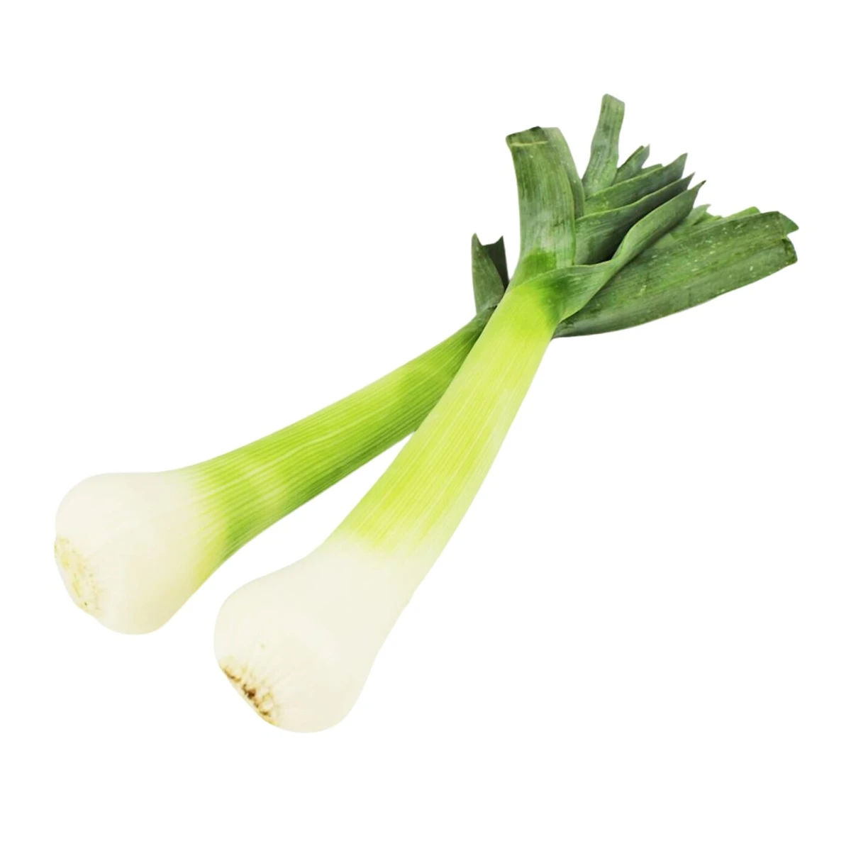 Por świeży Bio, Bio Planet