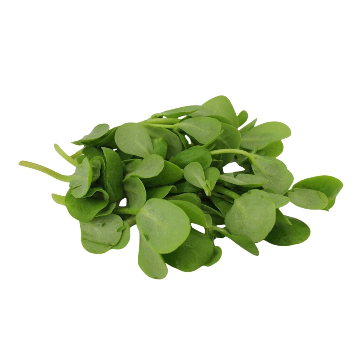 Portulatka świeża niemyta Bio, Bio Planet