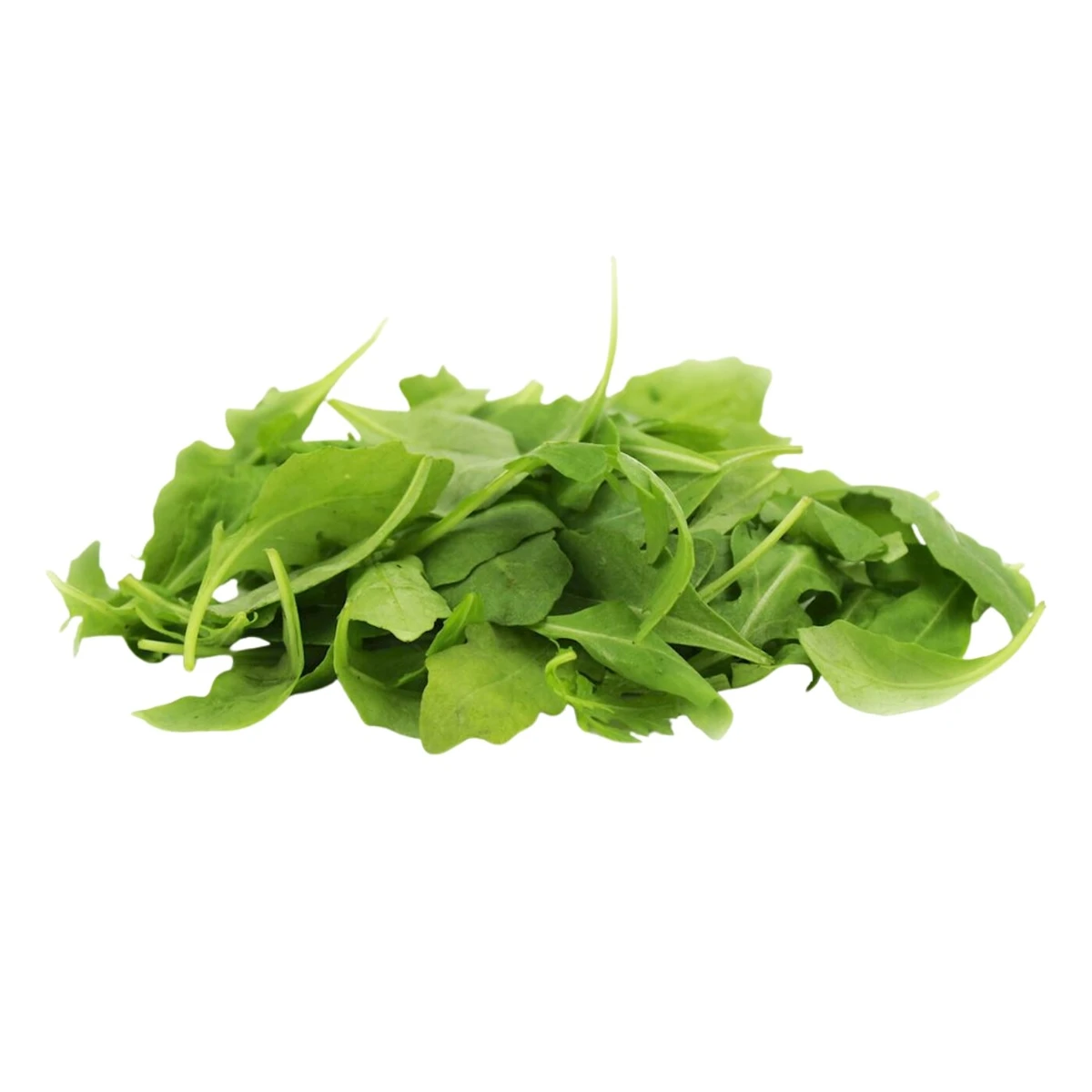 Rukola świeża niemyta Bio, Bio Planet