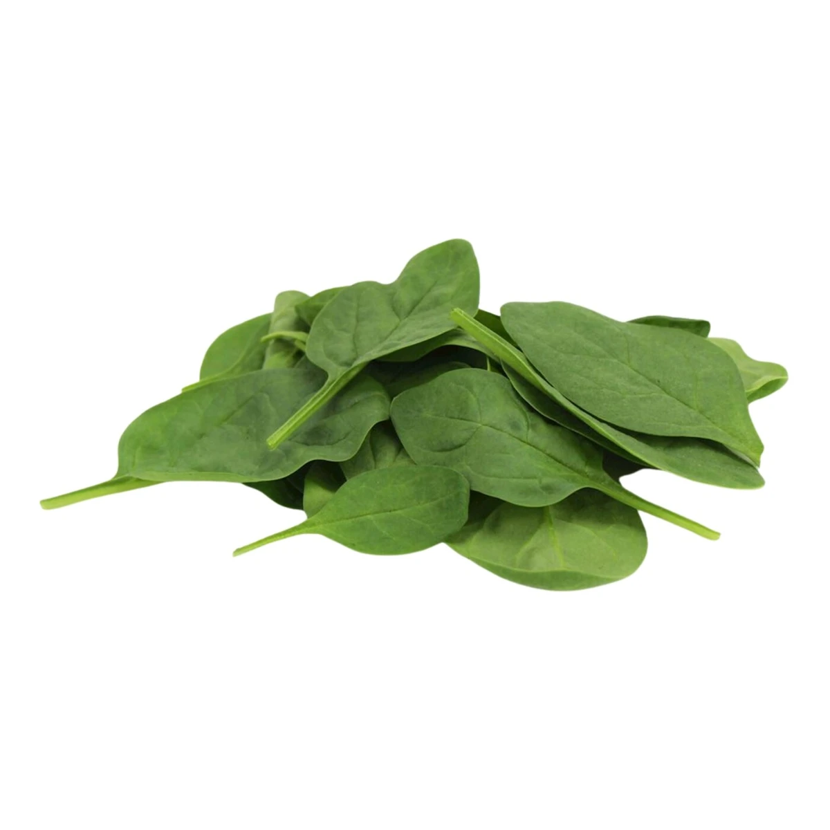 Szpinak baby świeży niemyty Bio, Bio Planet