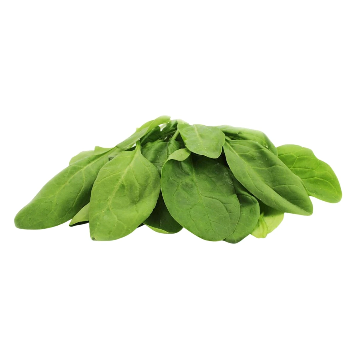 Szpinak świeży niemyty Bio, Bio Planet