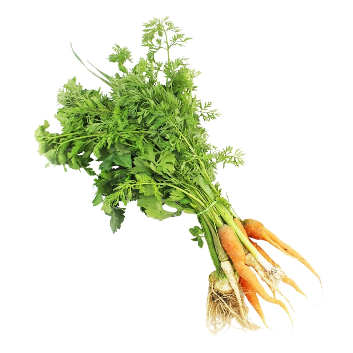 Włoszczyzna pęczek świeża Bio, Bio Planet  