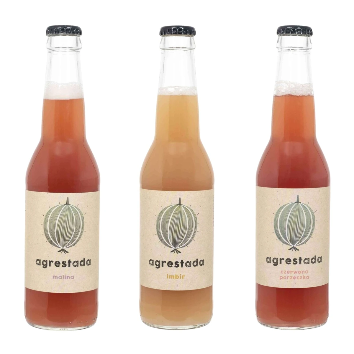 Zestaw napojów: malina, imbir, czerwona porzeczka, Owocowe Smaki