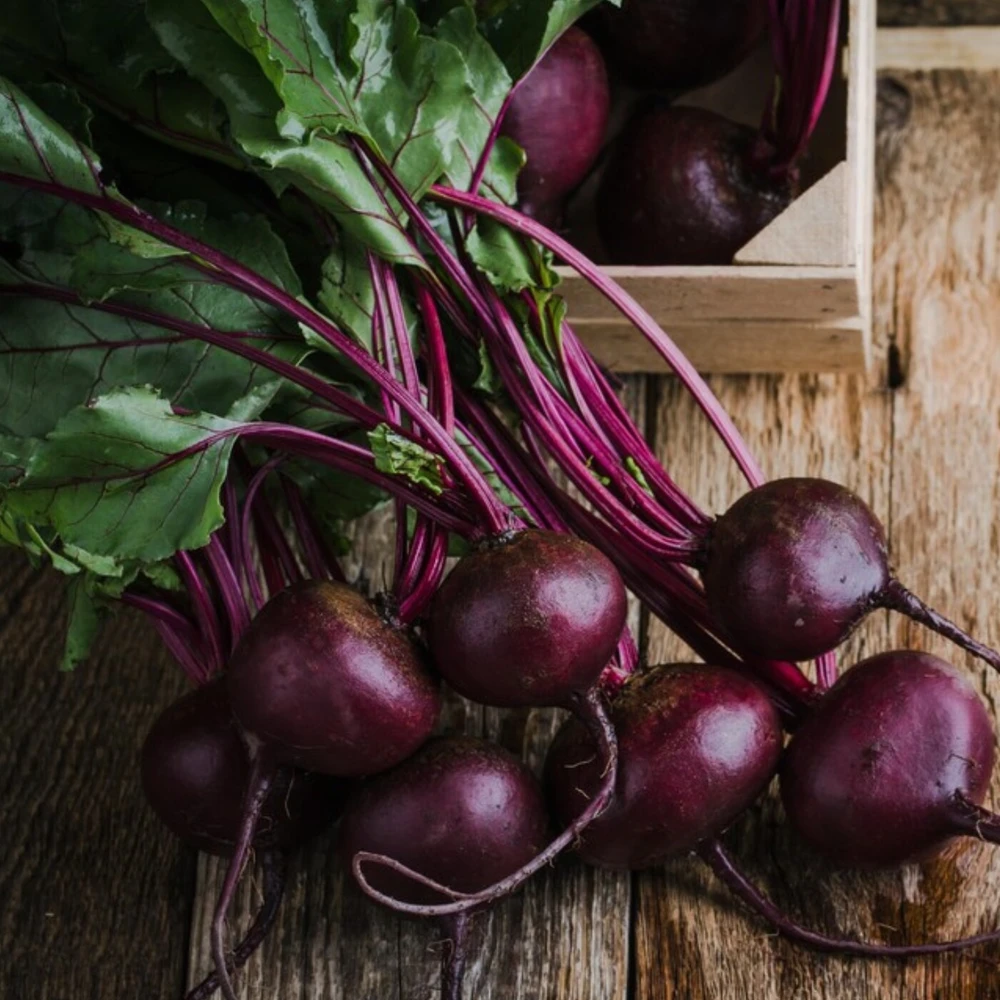 Zestaw warzyw Bio: burak, seler, marchew, Farmy Roztocza