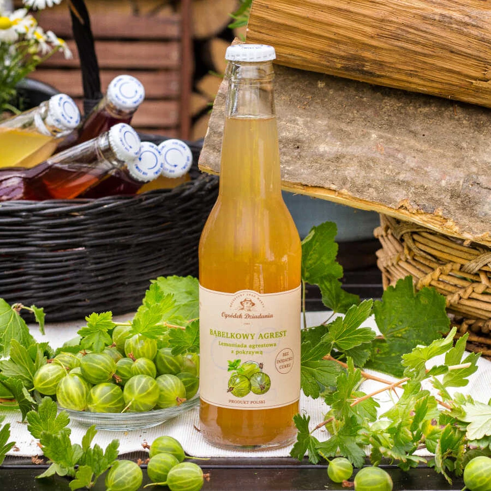 Lemoniada agrestowa z pokrzywą - Bąbelkowy agrest z pokrzywą, Ogródek Dziadunia