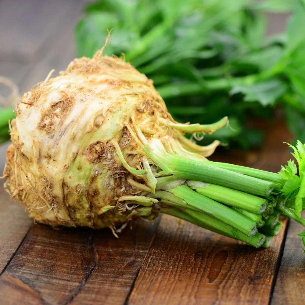 Seler korzeń Bio, 500 g, Farmy Roztocza