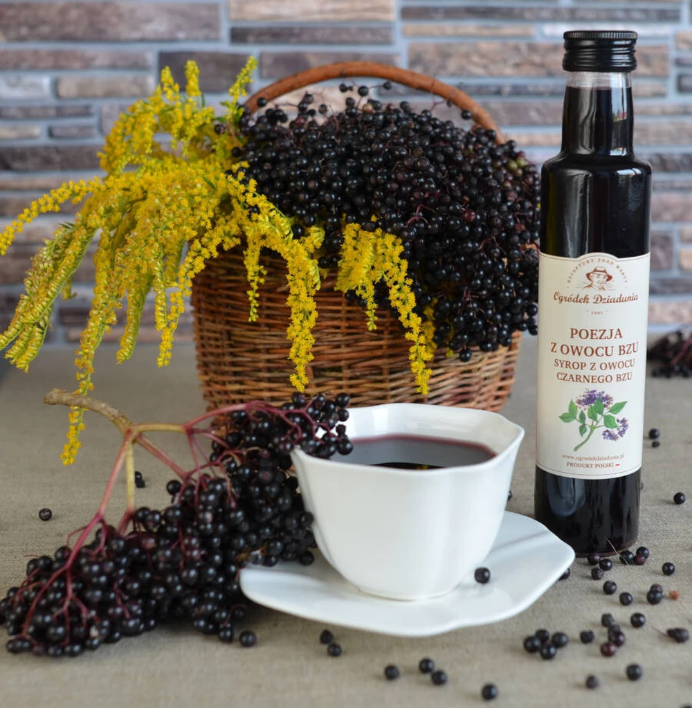 Syrop z owocu czarnego bzu, Ogródek Dziadunia