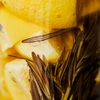 Solone cytryny, marynowane, Nicolas Vahé