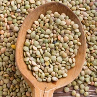 Soczewica zielona, 1 kg, Dania Babci Zosi