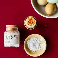 Sól morska gruboziarnista, Nicolas Vahé