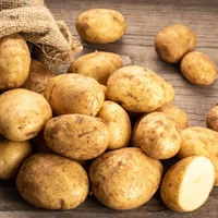 Ziemniaki młode Bio, Farmy Roztocza