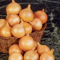 Cebula Bio, 3 kg, Farmy Roztocza