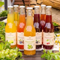 Lemoniada agrestowa z pokrzywą - Bąbelkowy agrest z pokrzywą, Ogródek Dziadunia