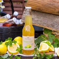 Lemoniada cytrynowa z miętą - Bąbelkowa cytryna z miętą, Ogródek Dziadunia