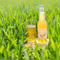 Lemoniada pigwowa z miętą - Bąbelkowa pigwa z miętą, Ogródek Dziadunia