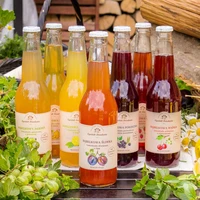 Lemoniada śliwkowa z lipą - Bąbelkowa śliwka z lipą, Ogródek Dziadunia