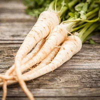 Pietruszka korzeń Bio, 500 g, Farmy Roztocza