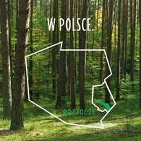 Woda mineralna gazowana 1,5l, Rodowita z Roztocza