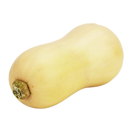 Dynia piżmowa Butternut świeża Bio, Bio Planet     