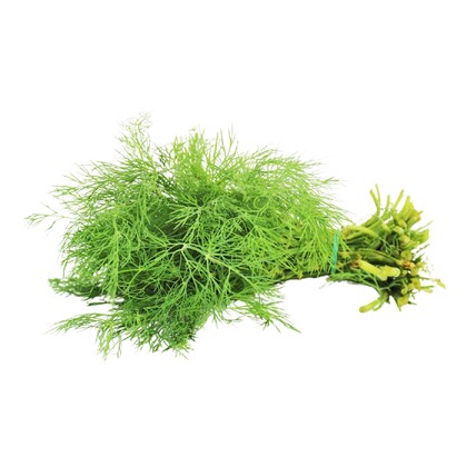 Koperek świeży Bio, pęczek, Bio Planet