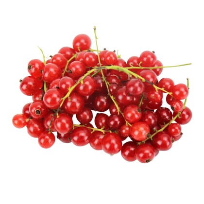Porzeczki czerwone świeże Bio, Bio Planet