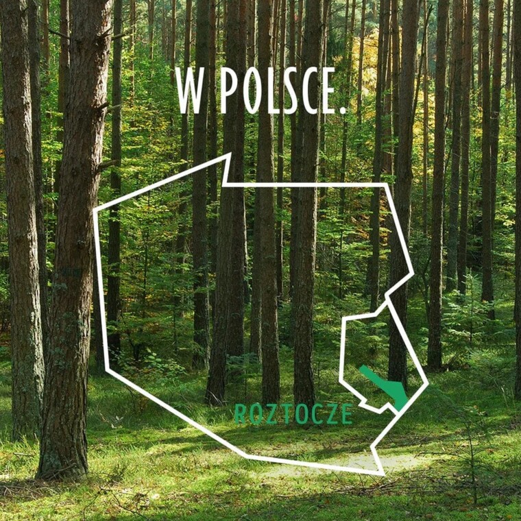 Woda mineralna gazowana 0,6l, Rodowita z Roztocza